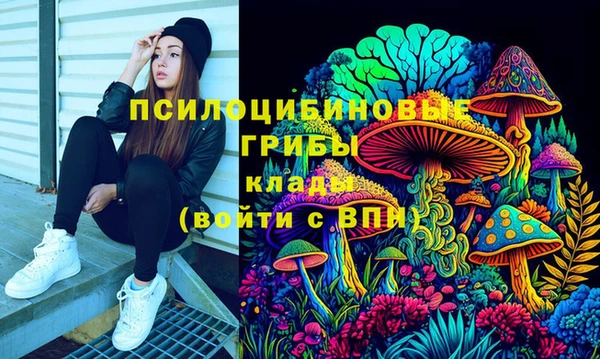 мдпв Волоколамск