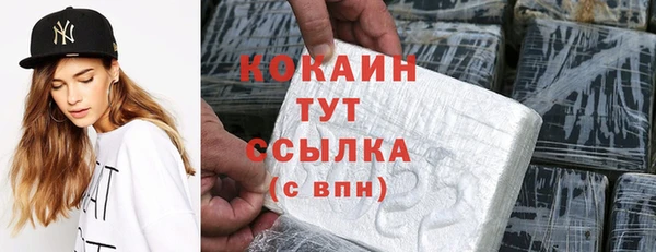 мдпв Волоколамск