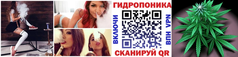 Шишки марихуана LSD WEED  Купить закладки  Купино 